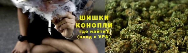 дурь Бронницы