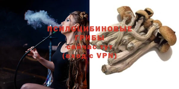 мдпв Бугульма