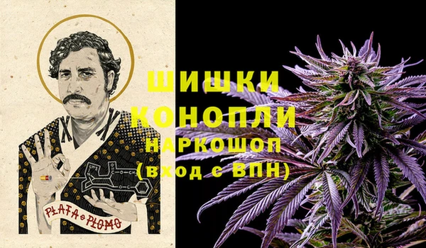 дурь Бронницы