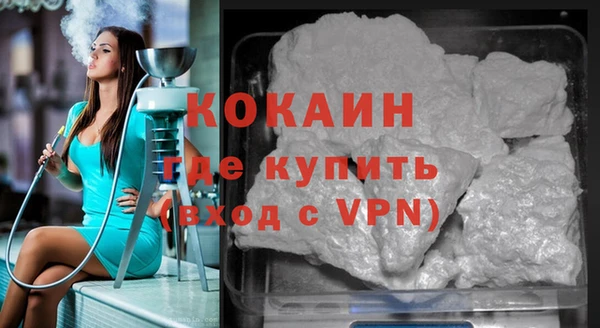 шишки Богородицк