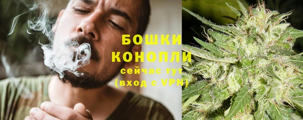 спиды Тайга