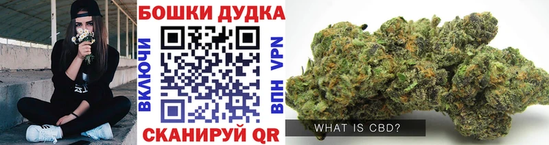 где найти   Трёхгорный  Каннабис гибрид 
